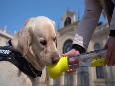 Портативные бутылки для воды как забота о здоровье и экологии